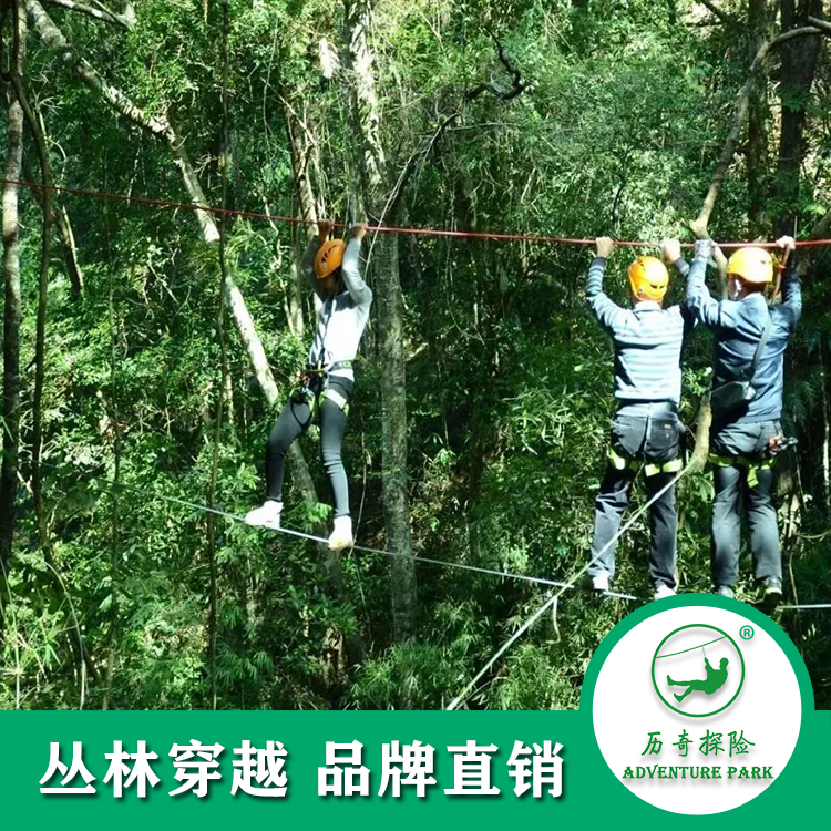 森林穿梭圖片/森林穿梭樣板圖 (4)