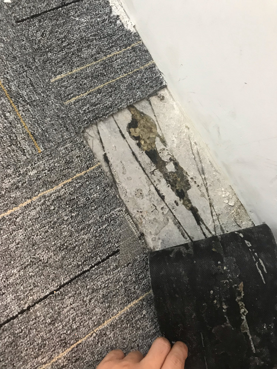 地板除膠圖片/地板除膠樣板圖 (1)