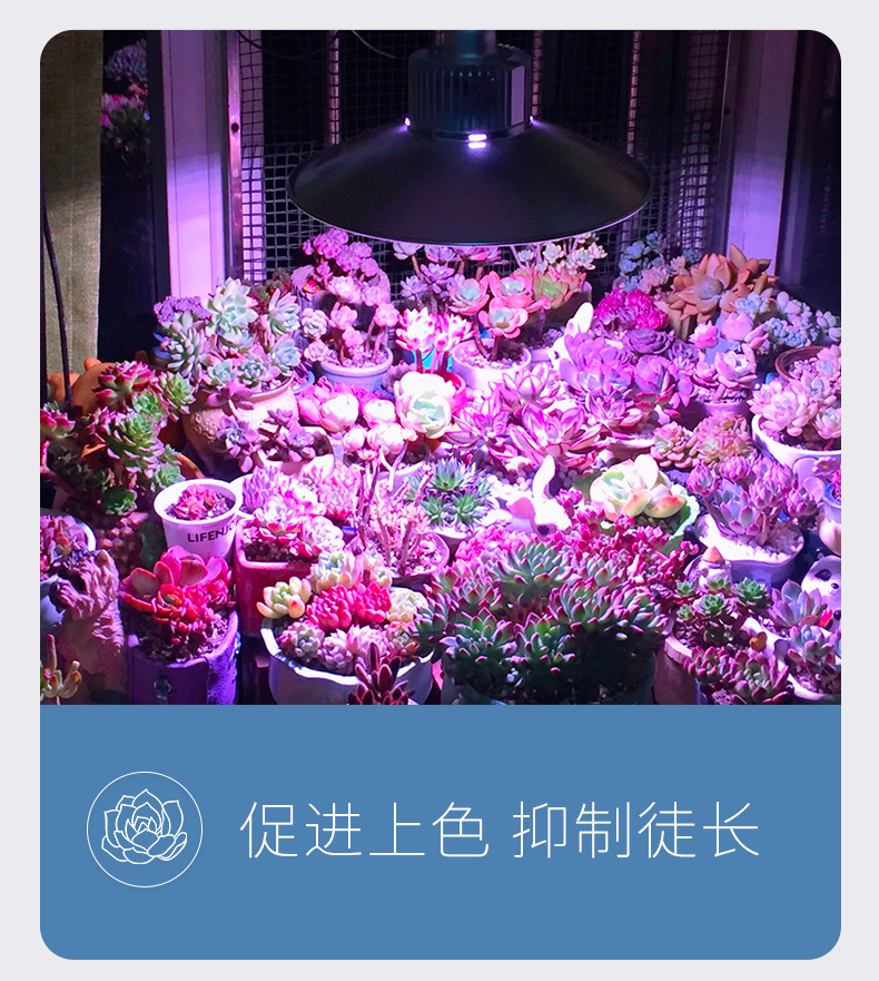 植物生长灯_植物补光灯图片