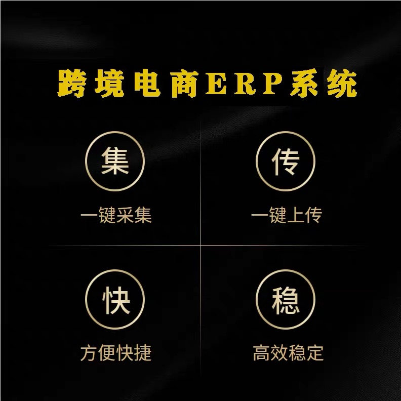 SHOPEE跨境电商亚马逊虾皮erpOEM贴牌定制独立部署服务器图片