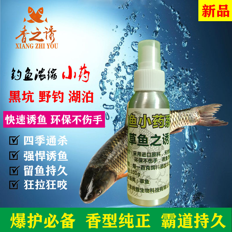 草魚之誘圖片