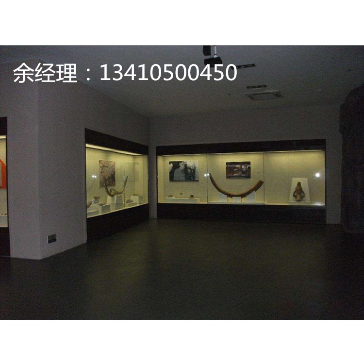 美术馆字画展柜.画家博物馆字画