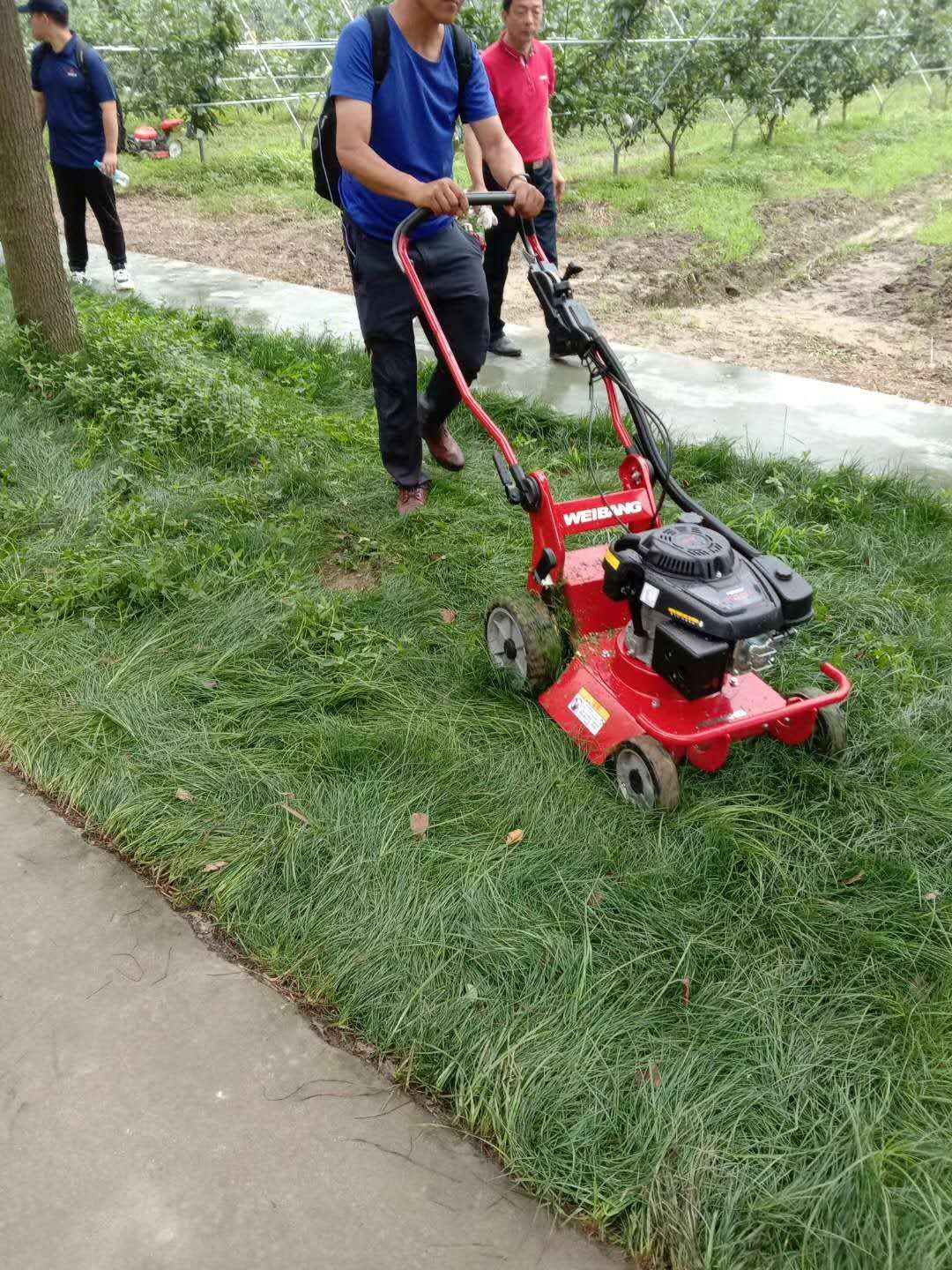 上海市打草机厂家