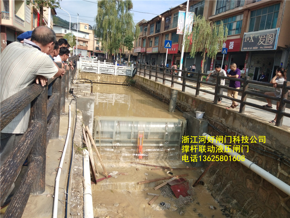 福建撑杆联动液压闸门诚信推荐：福建撑杆联动液压闸门销售 液压闸门价钱便宜-浙江河好闸门科技有限公司