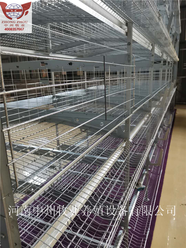雞籠圖片/雞籠樣板圖 (2)