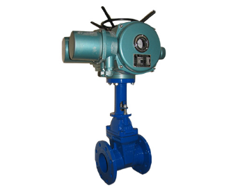 A眀桿電動(dòng)閘閥圖片