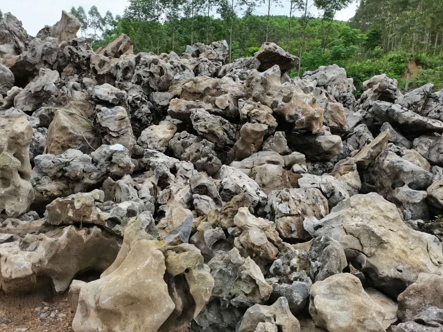 广西北流太湖石直销报价供应商联系方式图片