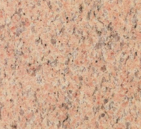 沙利士紅哪里有賣圖片