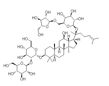 人参皂苷RC11021-14-0