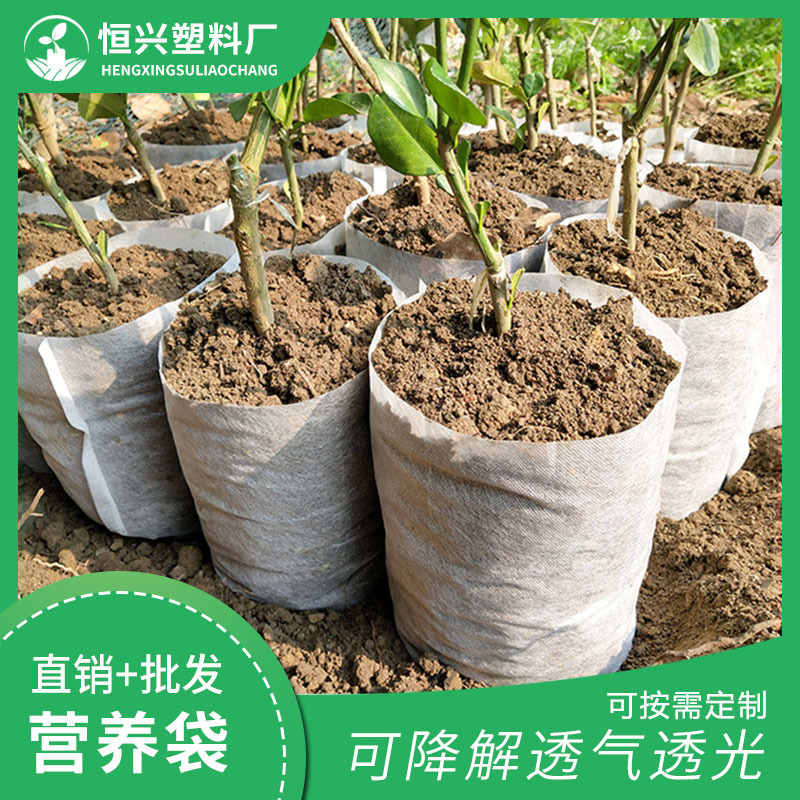 無(wú)紡布營(yíng)養(yǎng)袋圖片