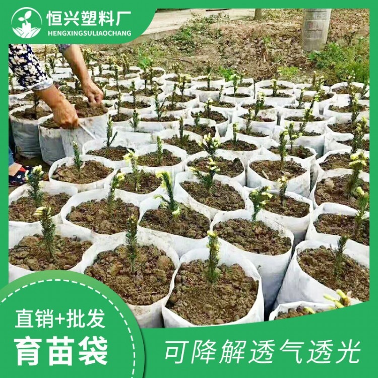 環(huán)保營養(yǎng)缽圖片