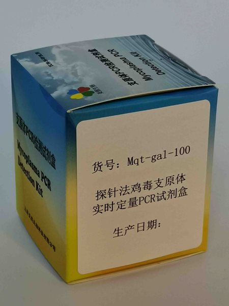 探针法鸡毒支原体实时定量PCR试剂盒