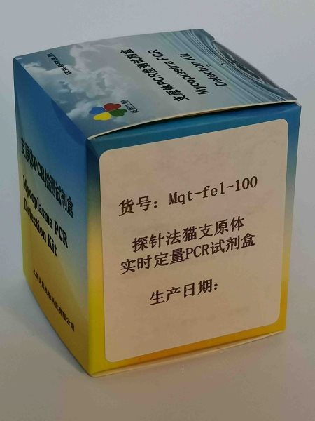 探针法猫支原体实时定量PCR试剂盒