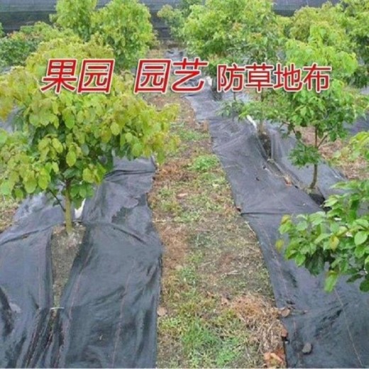 德州市山东果园防草布多少钱一平米厂家山东果园防草布多少钱一平米