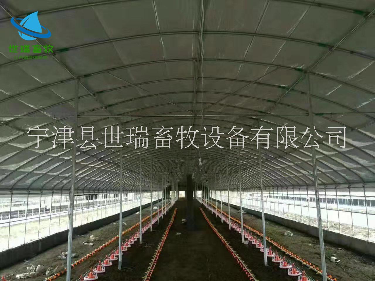 德州市养殖大棚建设成本厂家养殖大棚建设成本 搭建养猪棚厂家 世瑞畜牧大棚工程