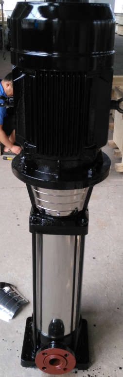 立式多級(jí)離心泵圖片