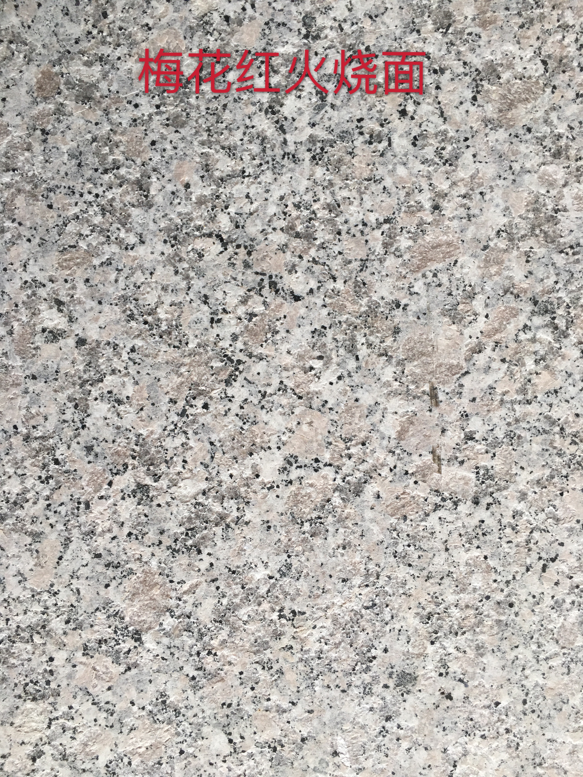 珍珠花火燒價格  珍珠花火燒報價  珍珠花火燒哪里有 廣西珍珠花火燒