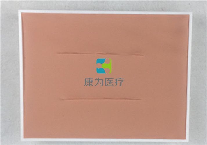 深部出血結(jié)扎訓(xùn)練模型