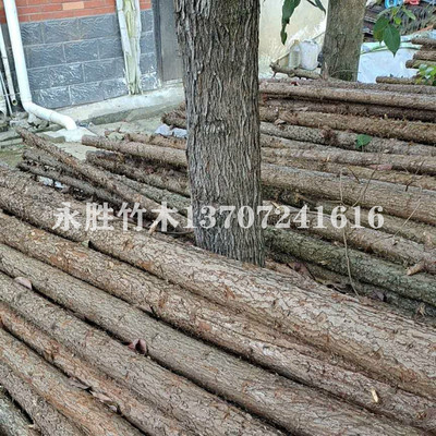 直供杉木桿圖片