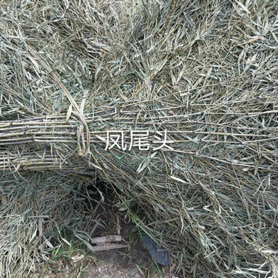 竹扫把_环卫扫把 咸安永胜竹木批发厂图片