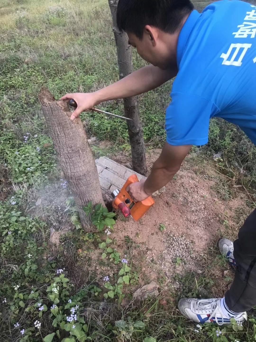 佛山市禅城杀蚊厂家禅城杀蚊 杀蚊价钱