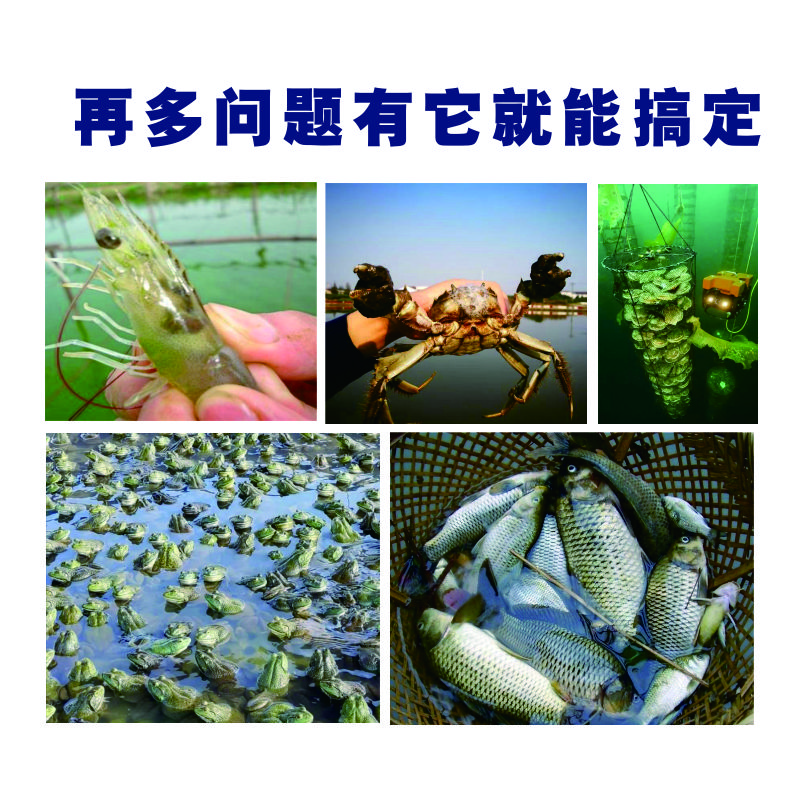 池塘肥水圖片/池塘肥水樣板圖 (4)