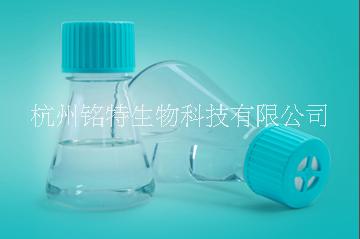 NEST錐形搖瓶圖片/NEST錐形搖瓶樣板圖 (2)