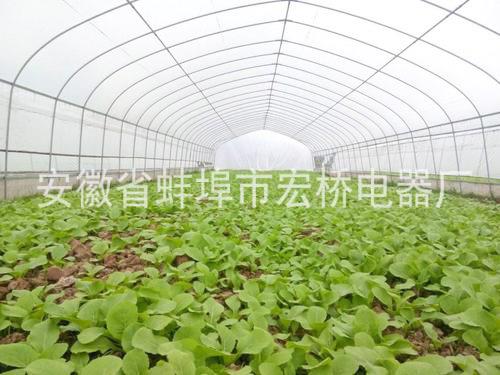 【蔬菜大棚价格】 蔬菜大棚厂家图片