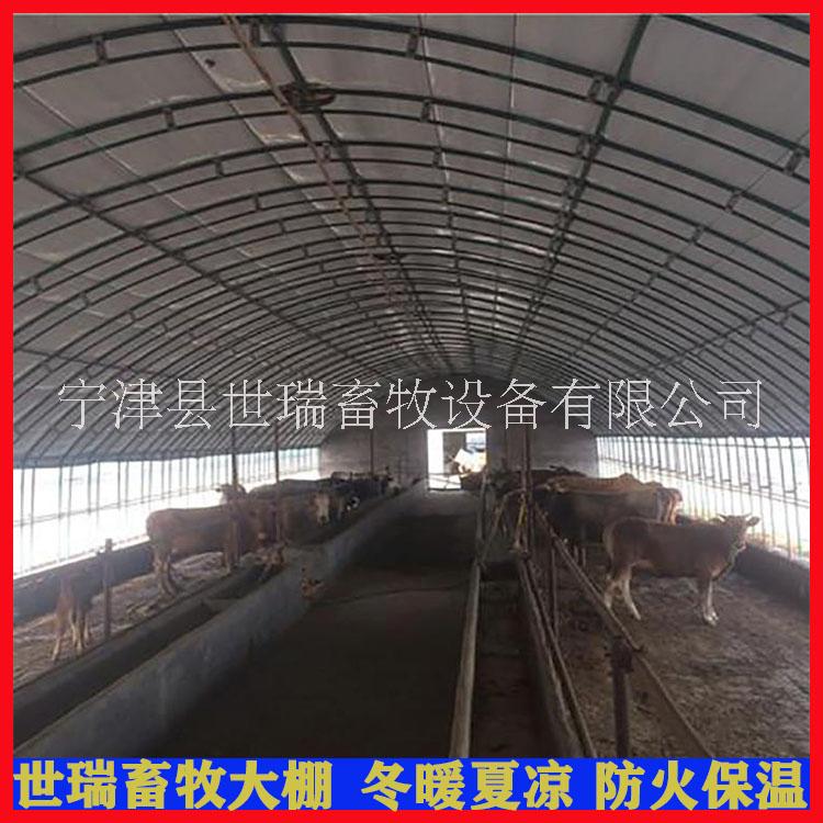 黄牛养殖大棚搭建厂家 肉牛养殖棚建设 牛棚设备安装图片