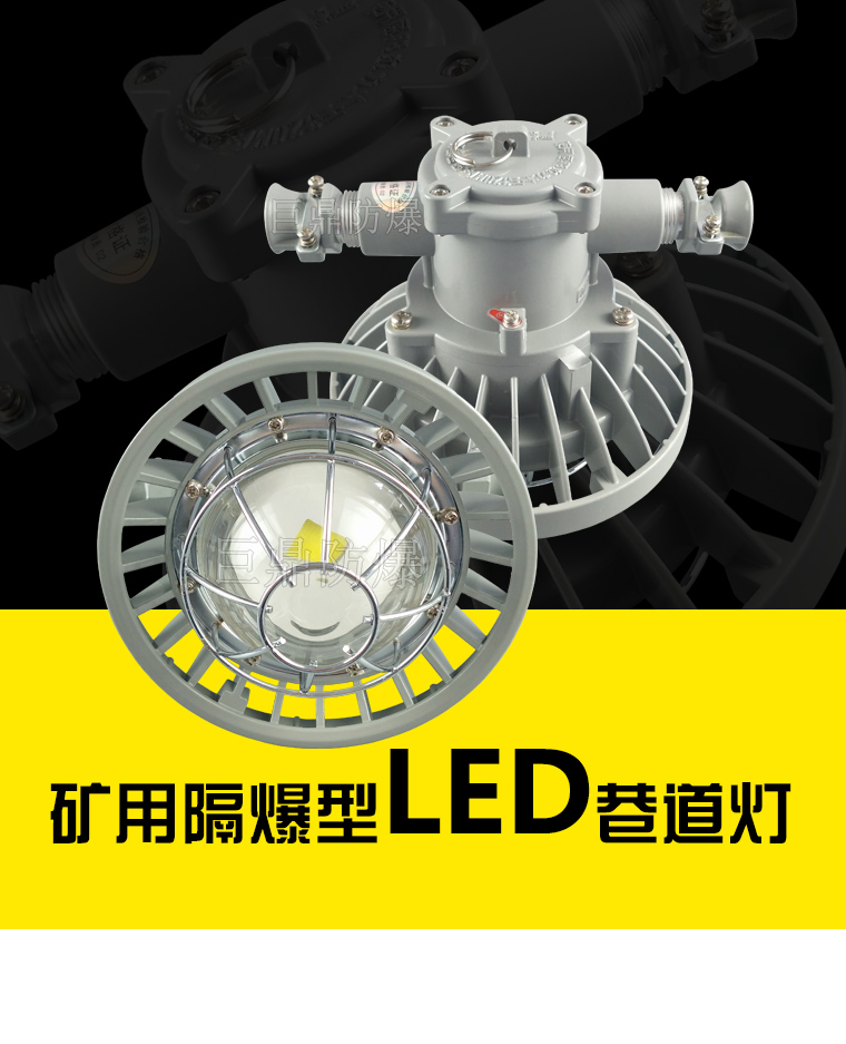 DGS矿用隔爆型LED巷道灯 DGS 矿用隔爆型LED巷道灯图片