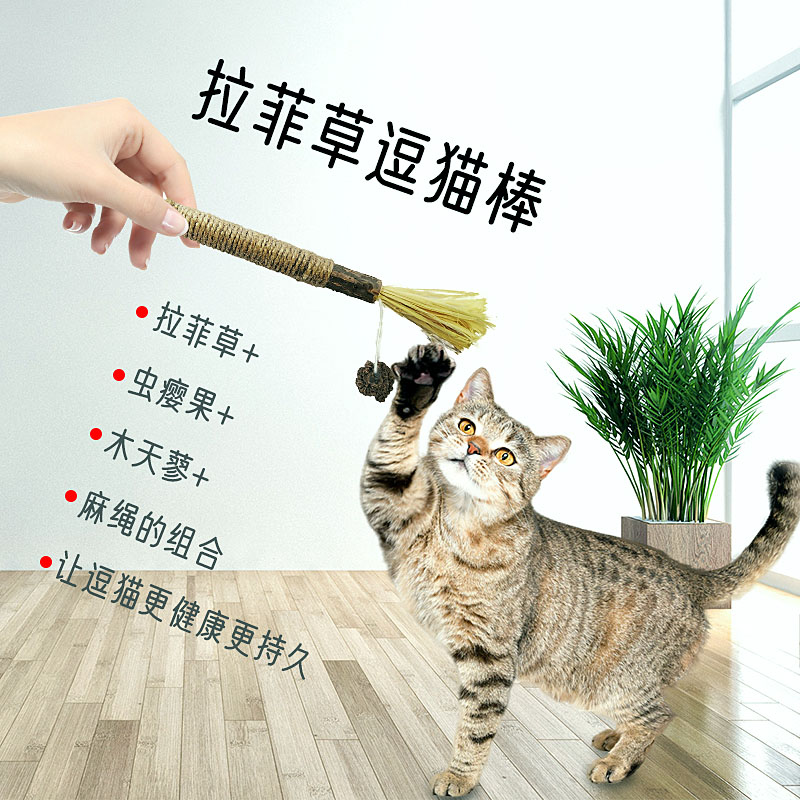 厂家批发可加工定制木天蓼虫瘿果逗猫棒磨牙棒拉菲草猫咪解闷玩具 舔舔乐拉菲草逗猫棒磨牙棒图片