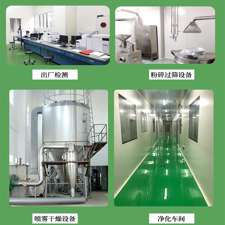 石韦提取物 石韦粉森冉生物 石韦提取物 石皮提取物 植物提取原料粉 石韦提取物 石韦粉