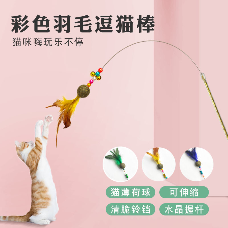 彩色羽毛逗猫棒图片