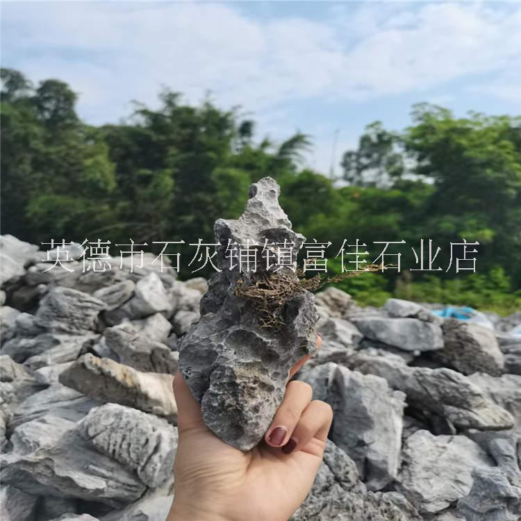 景观鱼缸石在哪买 盆景小型假山石材石料 青龙石批发价格图片