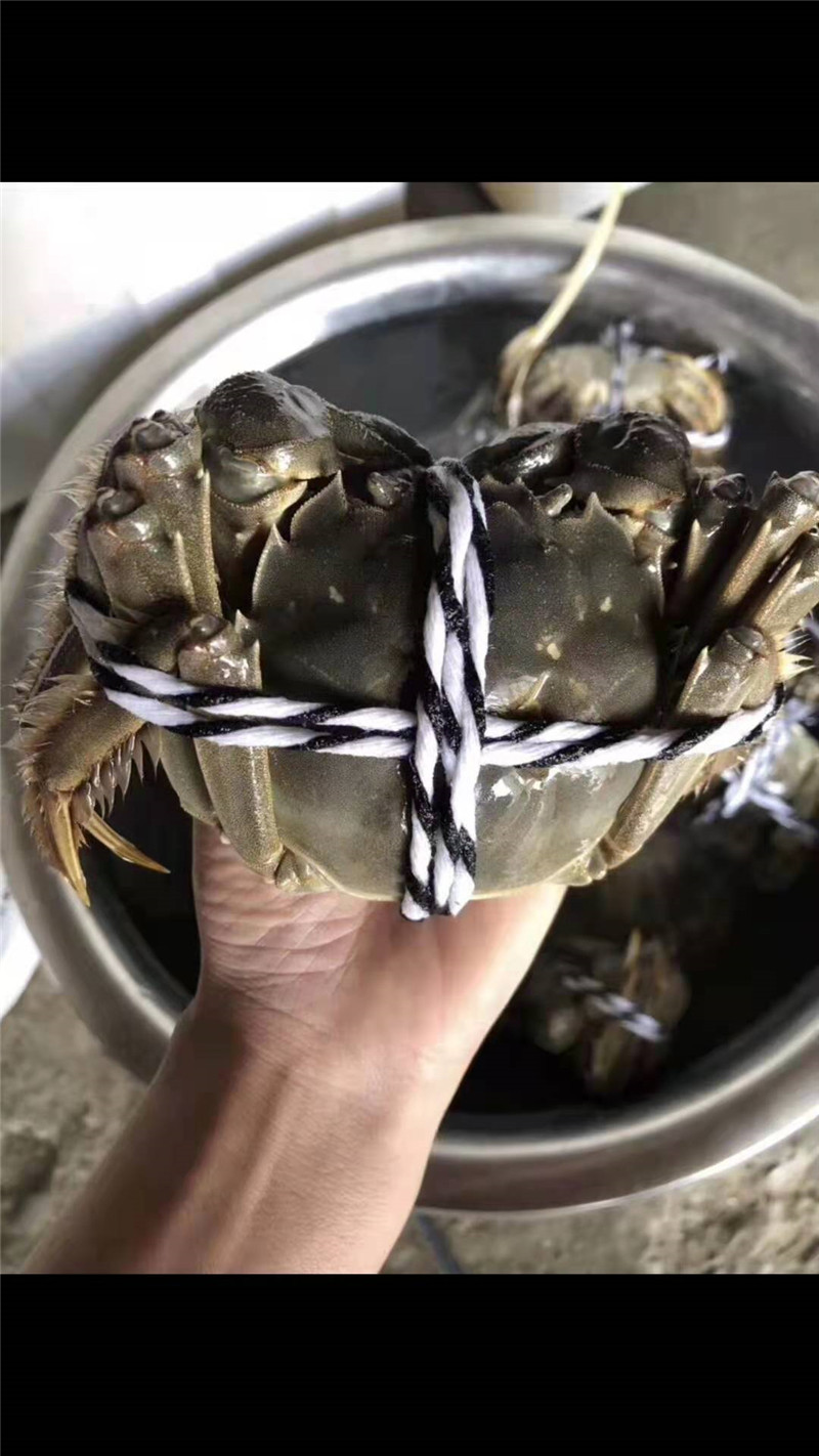 大闸蟹898型好润大闸蟹898型 原生态散养 膏红肉鲜 大闸蟹礼券