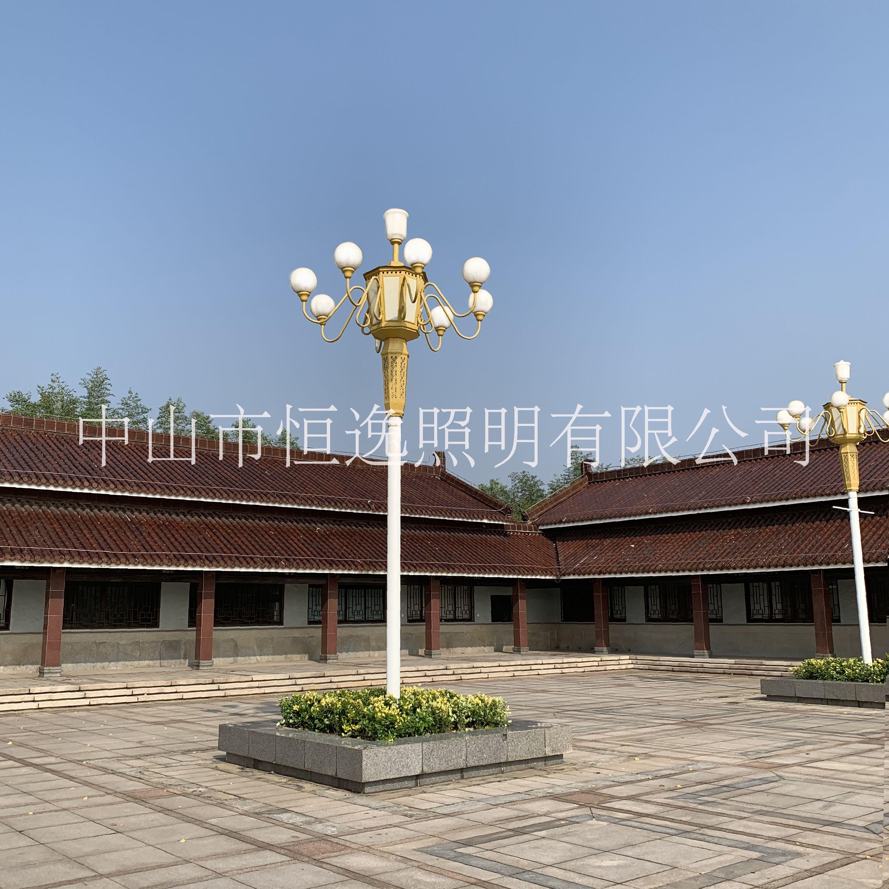 恒逸照明戶外大型照明玉蘭燈道路燈圖片/恒逸照明戶外大型照明玉蘭燈道路燈樣板圖 (2)