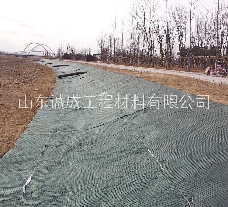 加筋防沖毯護坡圖片