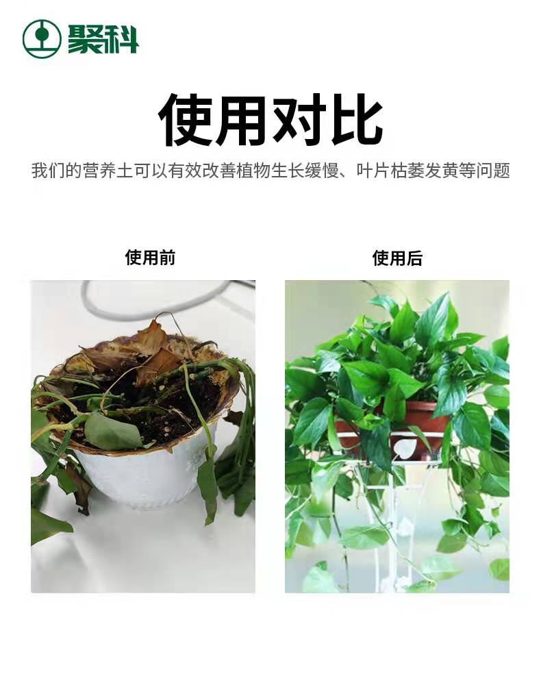 營養(yǎng)土圖片/營養(yǎng)土樣板圖 (2)
