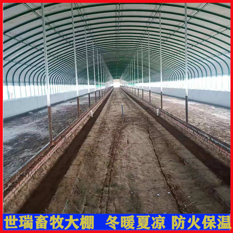 全自动养牛大棚搭建 抗风雪养牛棚建设 钢架牛舍安装图片