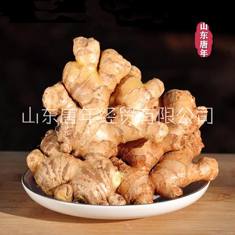 山東大姜 現(xiàn)挖今年嫩姜 新姜圖片