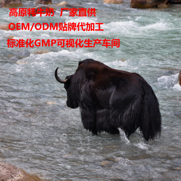 牛奶粉圖片/牛奶粉樣板圖 (3)