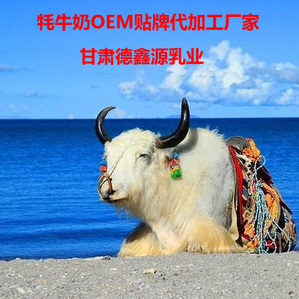 純牦牛奶粉貼牌代加工批發(fā)供應(yīng)圖片