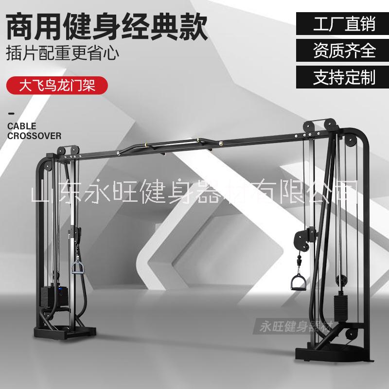 大飞鸟龙门架训练器健身房器材多功能综合训练器材图片