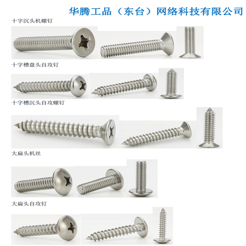 不锈钢十字槽机螺钉自攻钉、幕墙配件图片