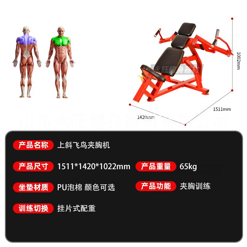 德州市上斜飞鸟夹胸机厂家