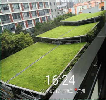 深圳市屋顶草坪厂家屋顶草坪 屋顶草坪种植报价 屋顶草坪施工