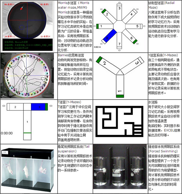 动物行为学实验室 动物行为学分析系统 动物行为学分析软件