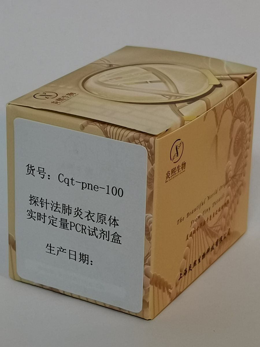 定量PCR圖片/定量PCR樣板圖 (4)