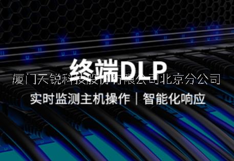 天锐终端数据泄露防护系统-DLP图片