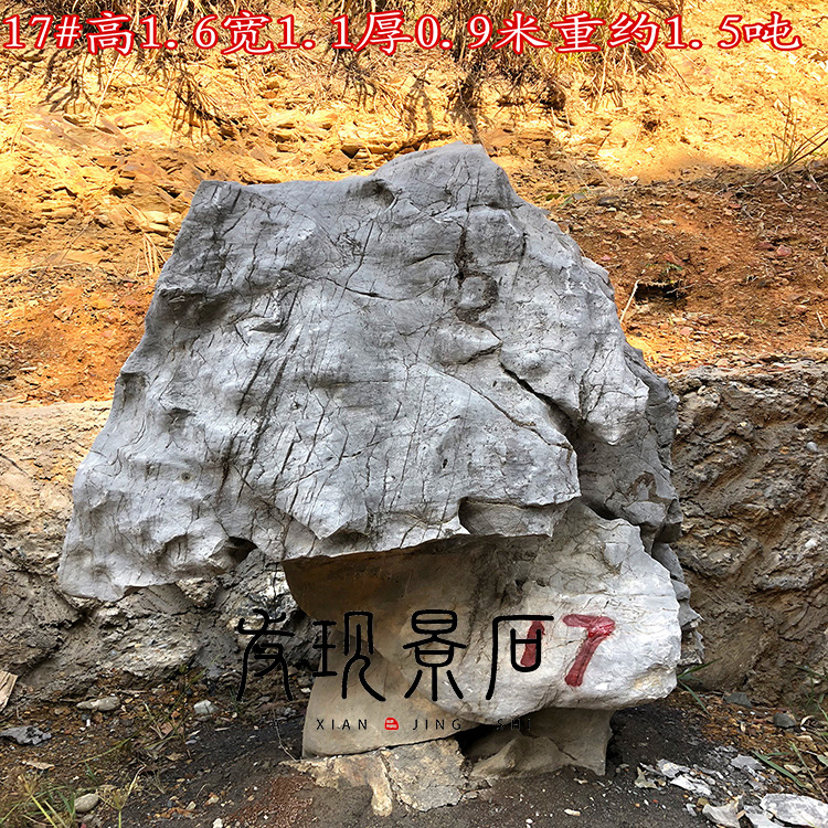 景觀石太湖石圖片/景觀石太湖石樣板圖 (1)